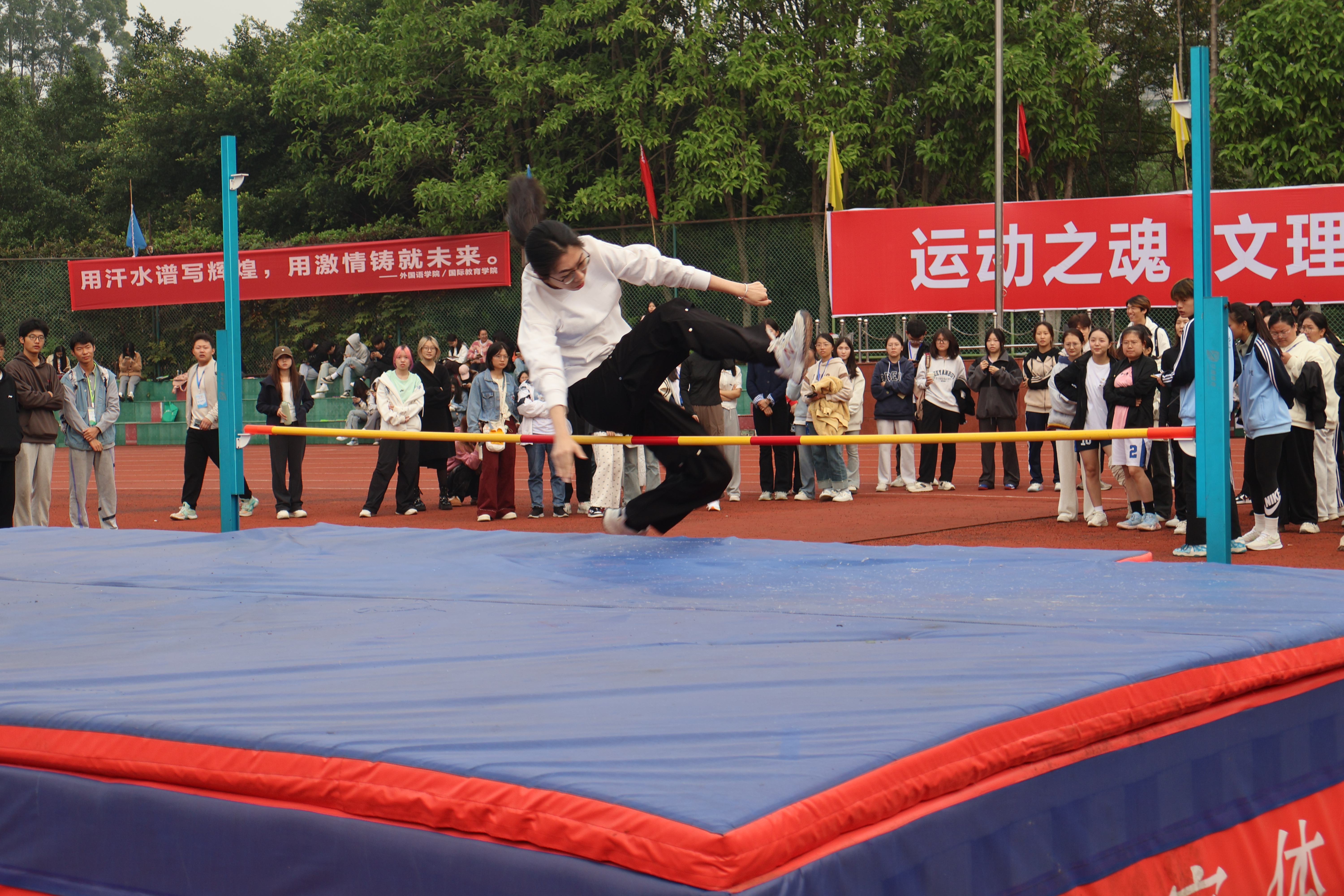 cXlN_1731372620048036020.jpg